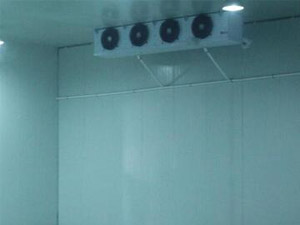 三個(gè)小技巧，輕松辨別真假冷庫安裝公司